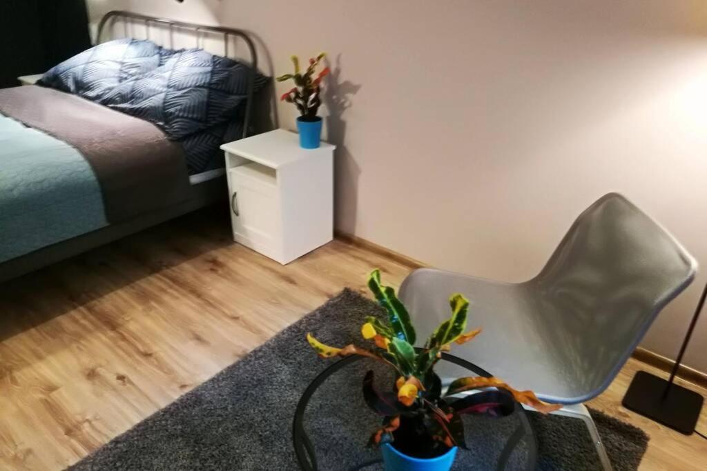 Sophus Respite. Samo Centrum Krakowa Eksteriør bilde